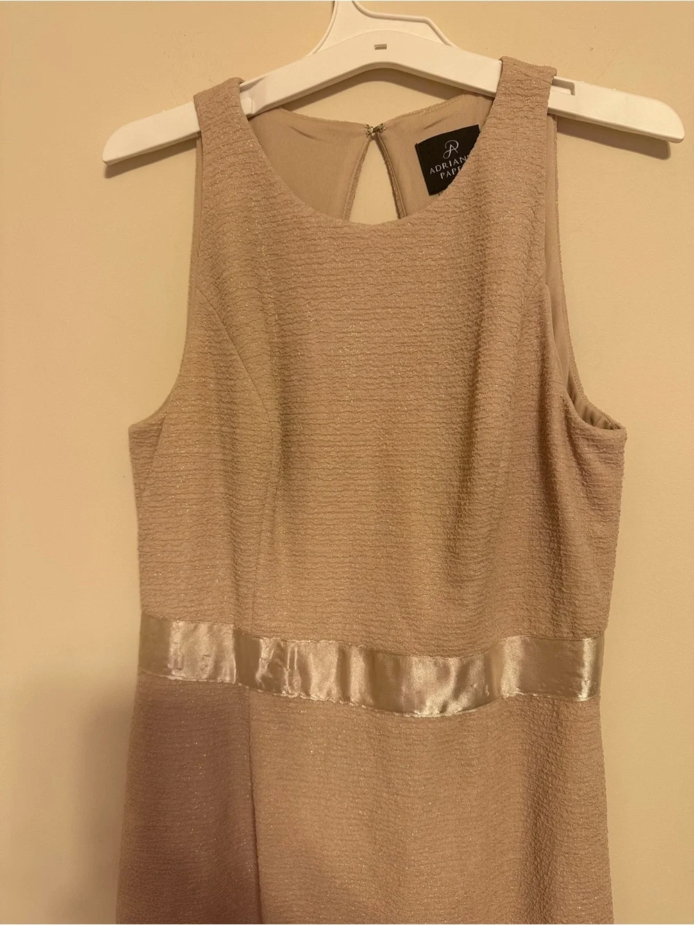 Adrianna Papell Champagne Metallic Maxi Dress Formal Evening Gown Size 6